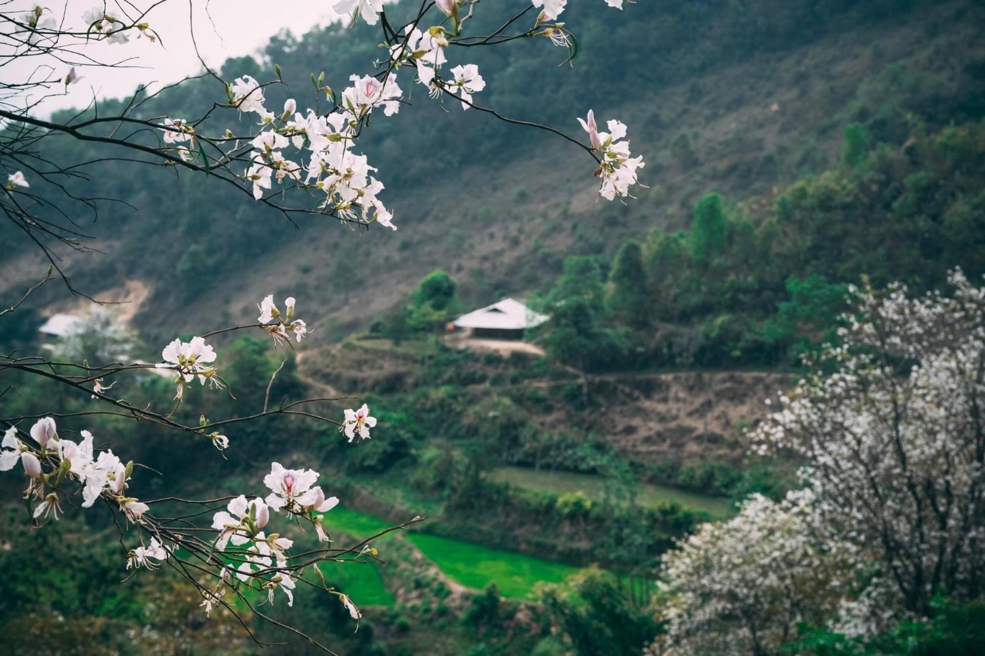 Minh Ngoc Homestay Dien Bien Phu Ban Hin Lom Exterior foto
