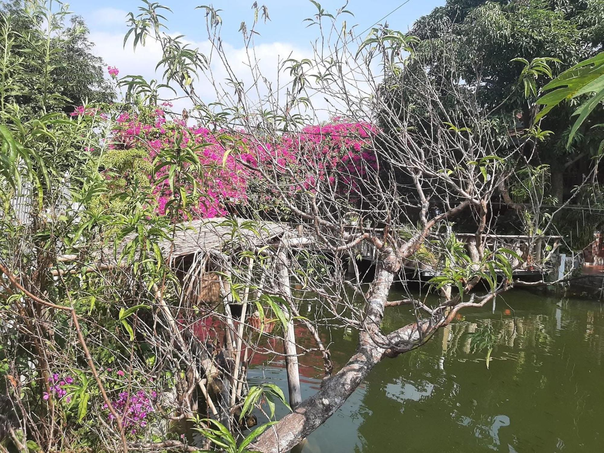 Minh Ngoc Homestay Dien Bien Phu Ban Hin Lom Exterior foto