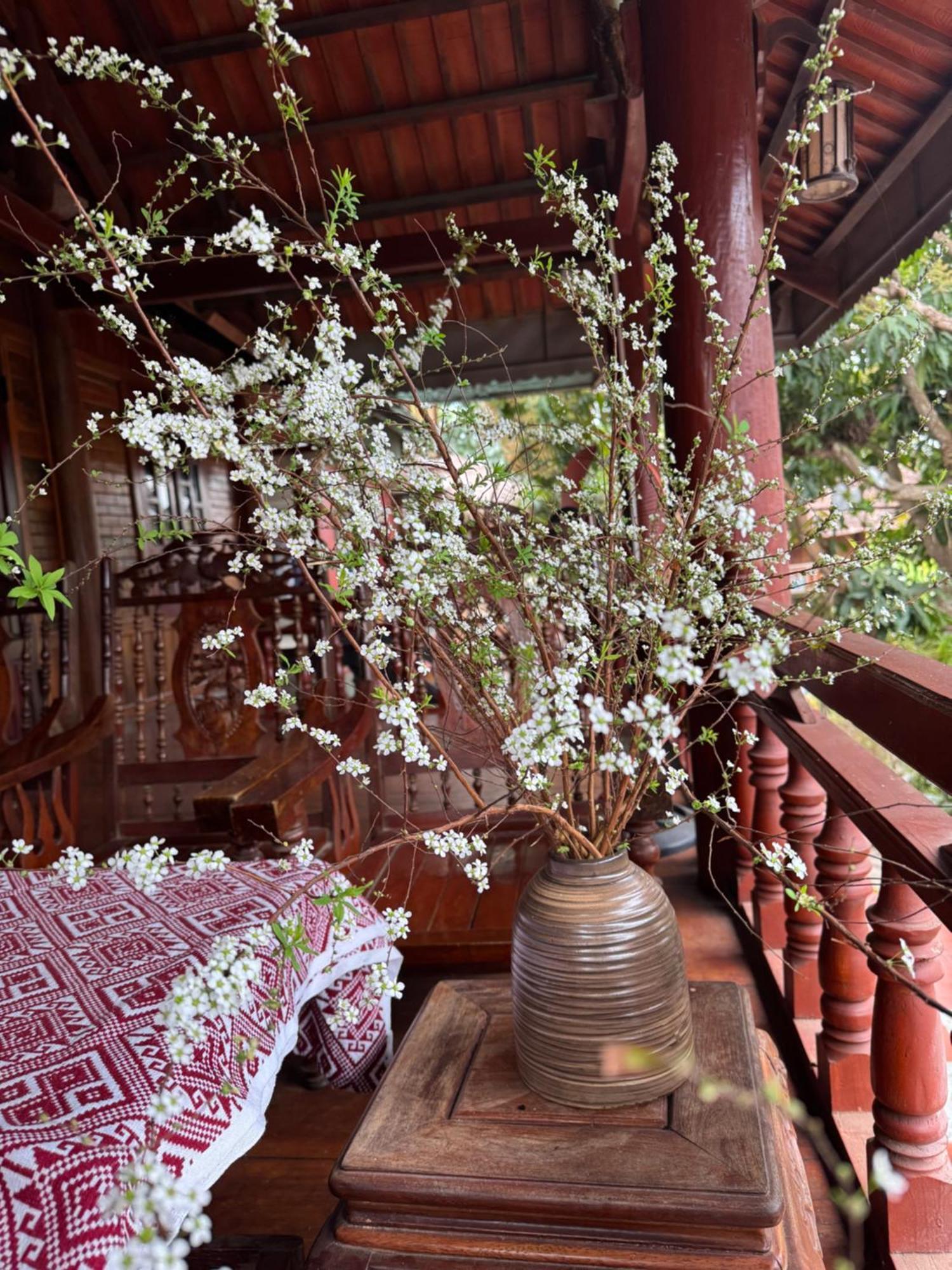 Minh Ngoc Homestay Dien Bien Phu Ban Hin Lom Exterior foto