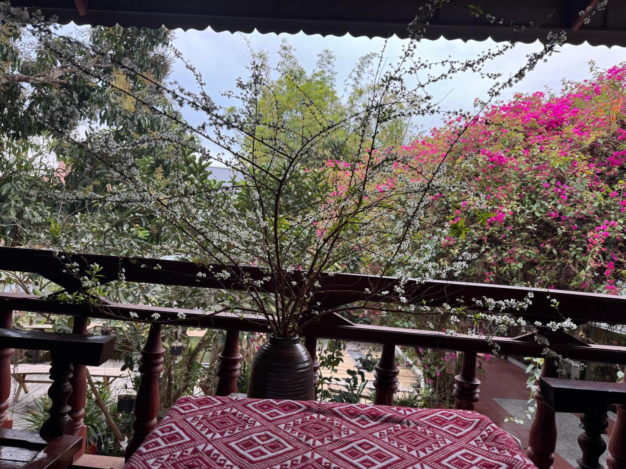 Minh Ngoc Homestay Dien Bien Phu Ban Hin Lom Exterior foto